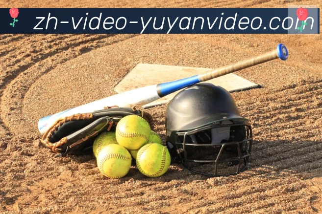 数据分析功能
